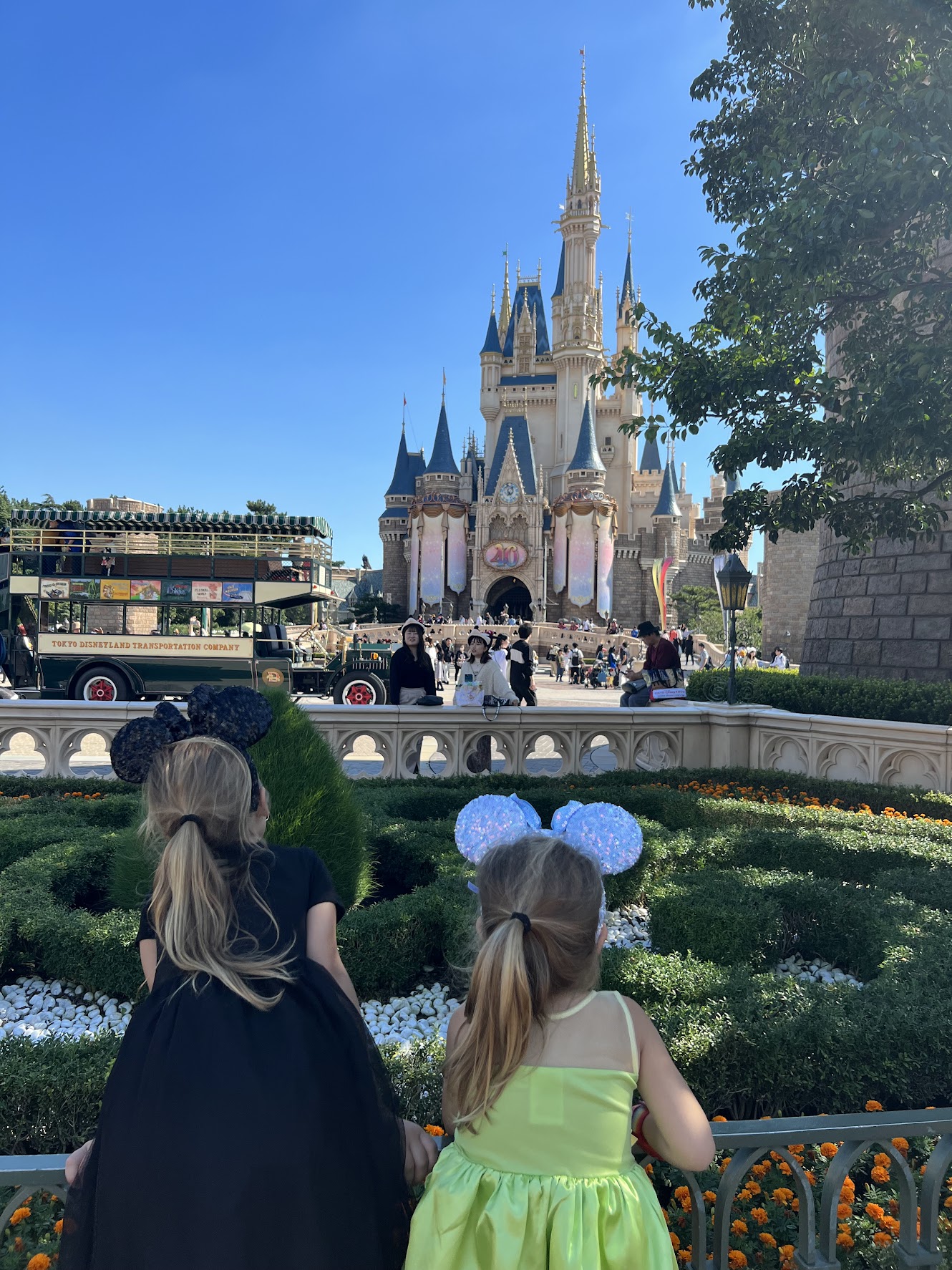Tokyo Disneyland Family Adventure
